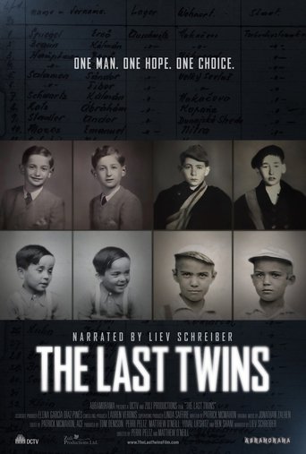 Poster of The Last Twins