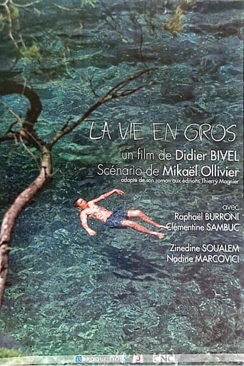 Poster of La vie en gros