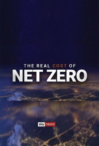 Poster of The Real Cost of Net Zero