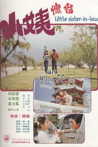 Poster of Little Sister-in-law