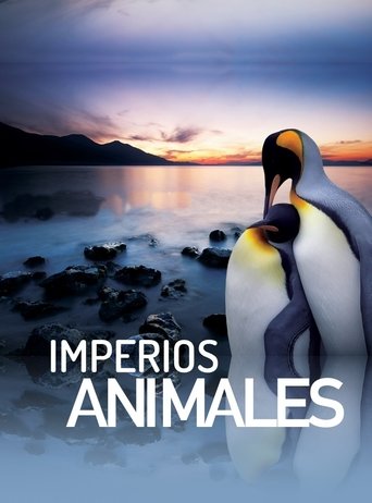 Portrait for Animal Empires - Season 1