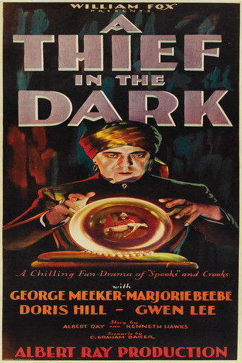 Poster of A Thief in the Dark