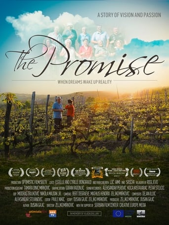 Poster of The Promise