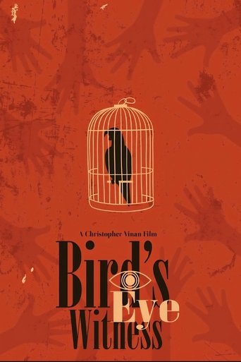 Poster of Bird's Eye Witness