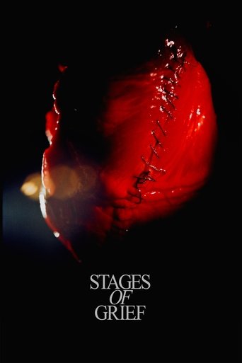 Poster of Stadier af sorg