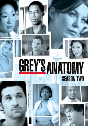 Portrait for Grey's Anatomy - Season 2