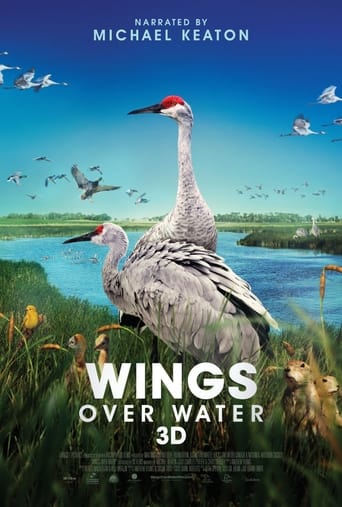 Poster of Wings Over Water