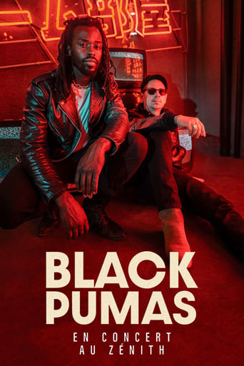 Poster of Black Pumas en concert au Zénith de Paris