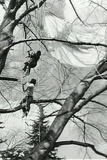 Poster of Tree Dance