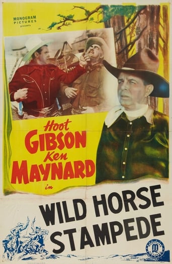 Poster of Wild Horse Stampede