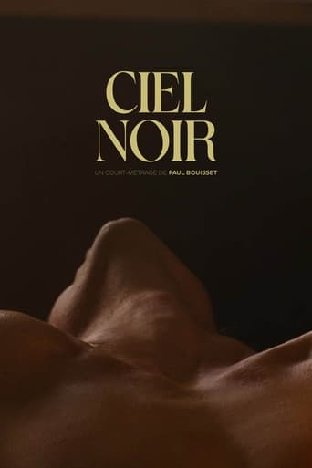 Poster of Ciel noir