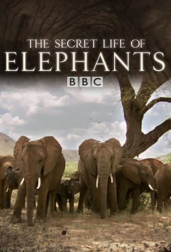 Poster of The Secret Life of Elephants