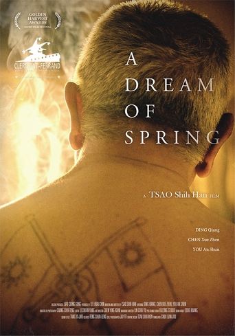 Poster of A Dream of Spring