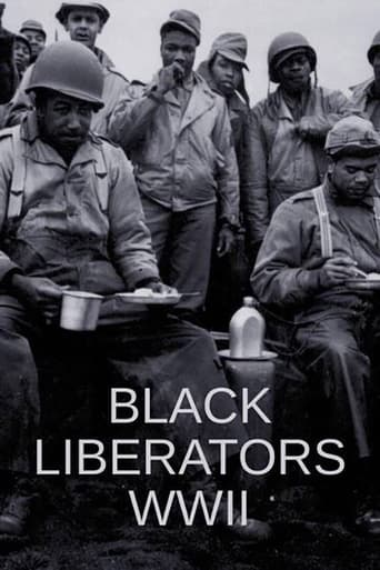 Poster of Black Liberators WWII