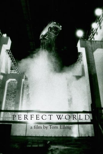 Poster of Perfect World