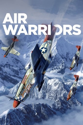 Air Warriors Poster of Air Warriors
