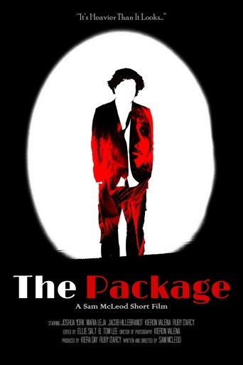 Poster of The Package