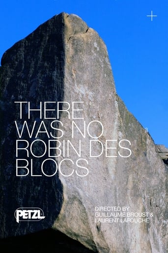 Poster of There Was No Robin des Blocs