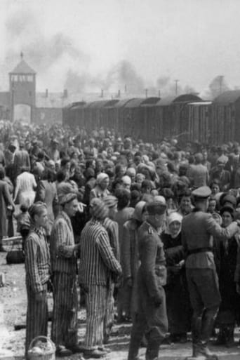 Poster of Dr Münch - läkare i Auschwitz