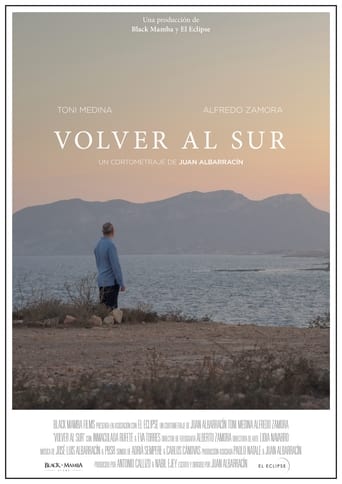 Poster of Volver al sur