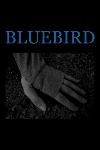 Poster of Bluebird