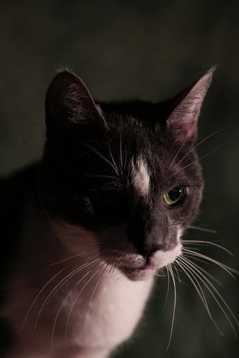 Portrait of Kitty