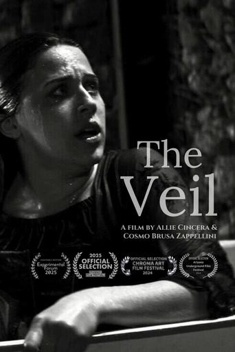 Poster of The Veil