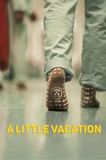 Poster of A Little Vacation