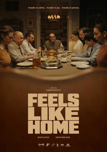 Poster of Feels Like Home