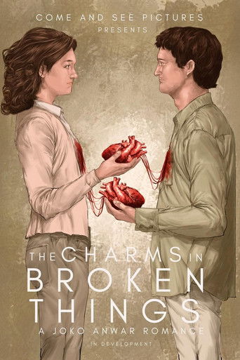 Poster of The Charms in Broken Things