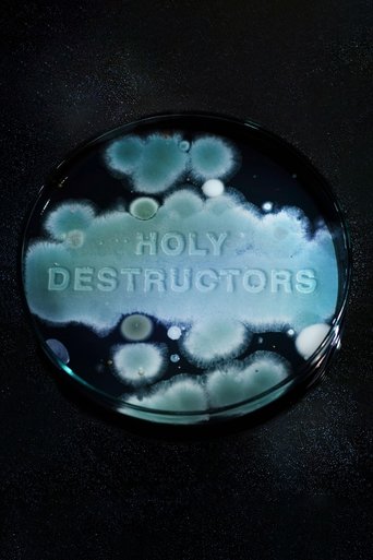 Poster of Holy Destructors