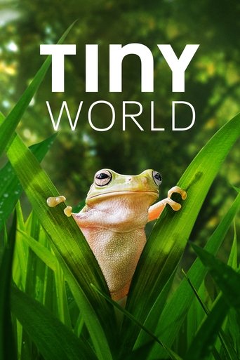 Portrait for Tiny World - Season 2