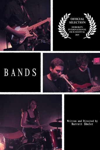 Poster of BANDS
