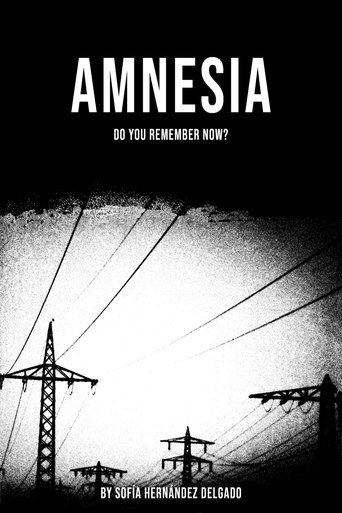 Poster of Amnesia