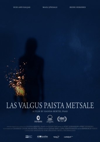 Poster of Let The Light Rise Upon The Forest