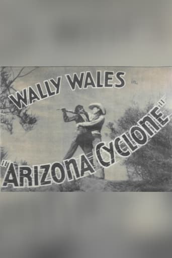 Poster of Arizona Cyclone