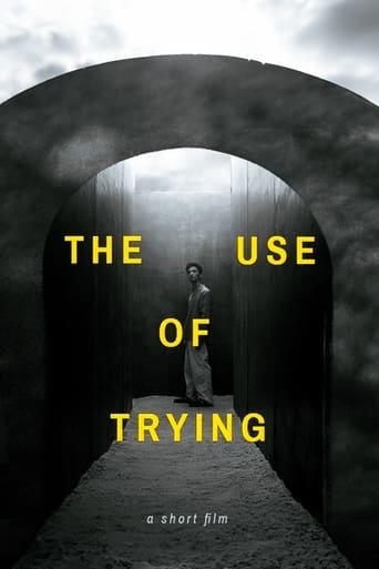 Poster of The Use of Trying