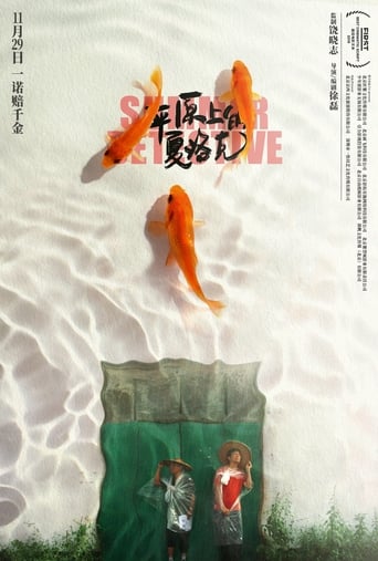 Poster of Summer Detective