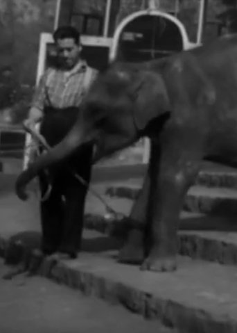 Poster of National Zoological Garden