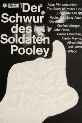 Poster of The Survivor