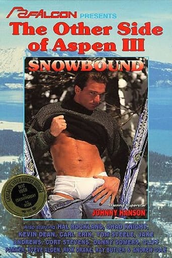 Poster of The Other Side Of Aspen 3: Snowbound