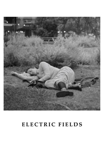 Poster of Electric Fields