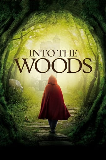 Poster of Into the Woods