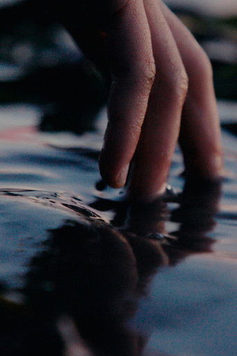 Poster of No More Longing