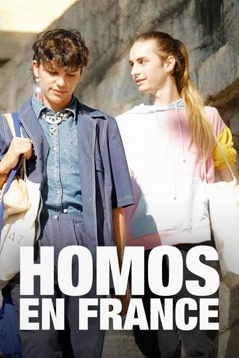 Poster of Homos in France