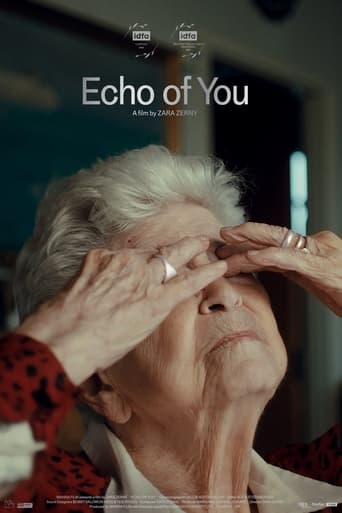 Poster of Echo of You