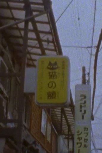 Poster of Scenes from a Visit to Japan