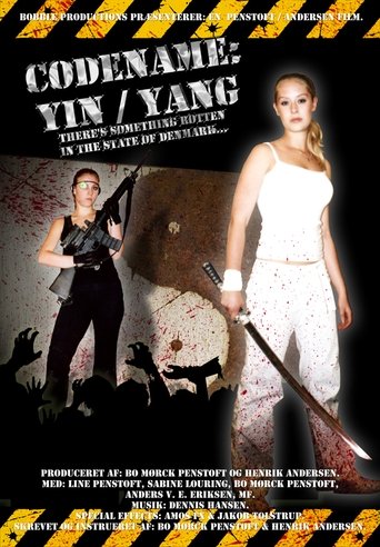 Poster of Codename: Yin/Yang