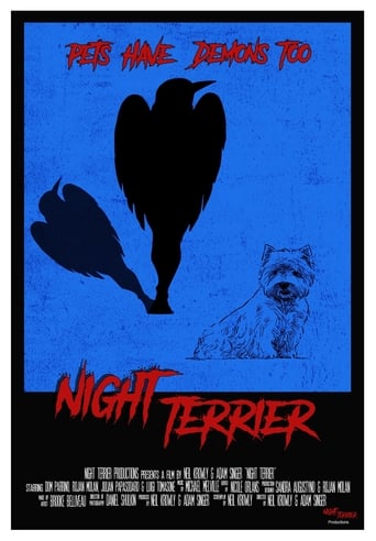 Poster of Night Terrier