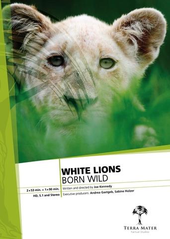 Poster of The White Lions of Timbavati